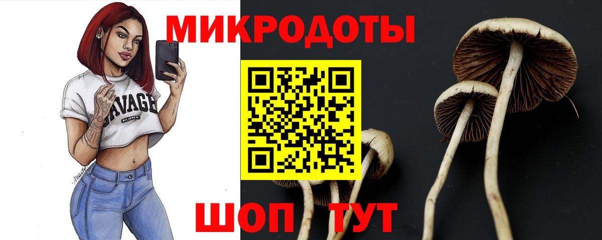Когалым  Псилоцибиновые грибы ЛСД  Вход с VPN 